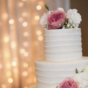 Wedding Photography - Cake Cutting / First Dance